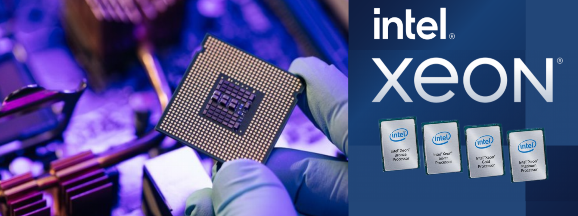 INTEL XEON CPU